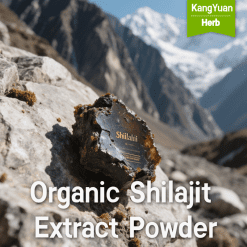 Bulk Organic Plant Extracts & Natural Ingredients Supplier | Kangyuan Herb 4 Organic Shilajit Extract Powder Supplier | Bulk & Wholesale | Kangyuan herb