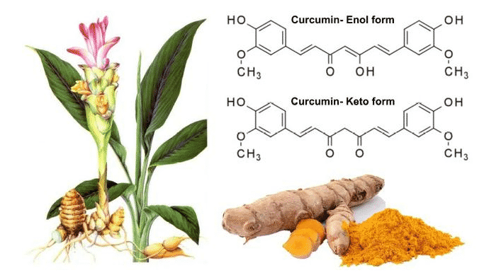 100% Pure Organic Curcumin Extracts : The Ultimate FAQ Guide 2 What is Curcumin extract