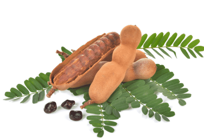100% Pure Organic Tamarind extract : The Ultimate FAQ Guide (update 2021) 23 Moisturize skin and hair