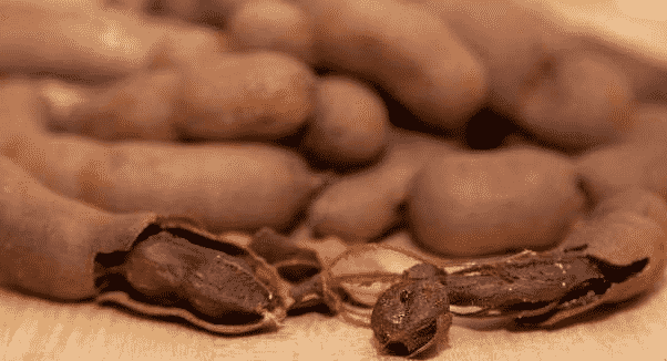 100% Pure Organic Tamarind extract : The Ultimate FAQ Guide (update 2021) 25 tamarind extract in hindi
