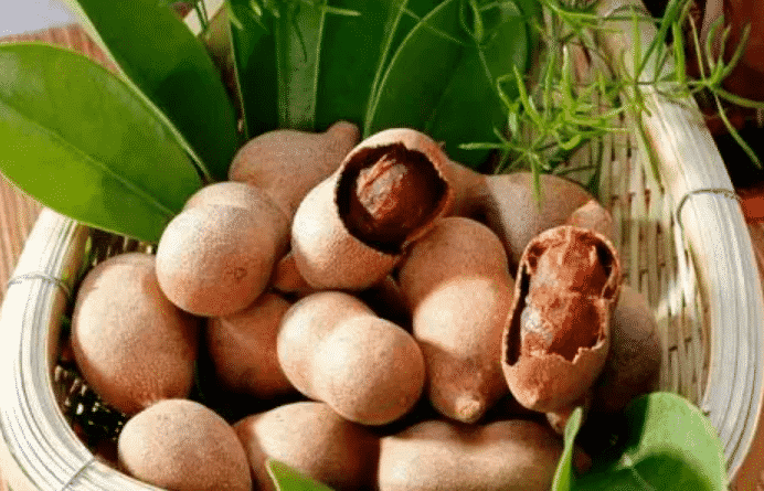 100% Pure Organic Tamarind extract : The Ultimate FAQ Guide (update 2021) 49 Snipaste 2021 09 23 12 26 18 1