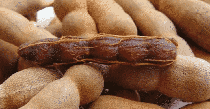 100% Pure Organic Tamarind extract : The Ultimate FAQ Guide (update 2021) 11 Snipaste 2021 09 23 14 51 10