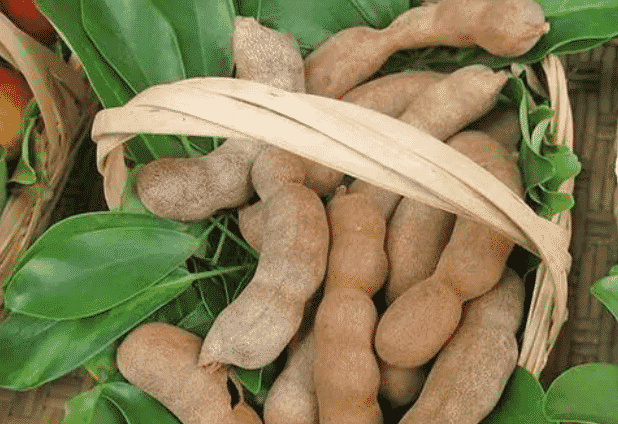 100% Pure Organic Tamarind extract : The Ultimate FAQ Guide (update 2021) 46 Snipaste 2021 09 23 14 51 32 1