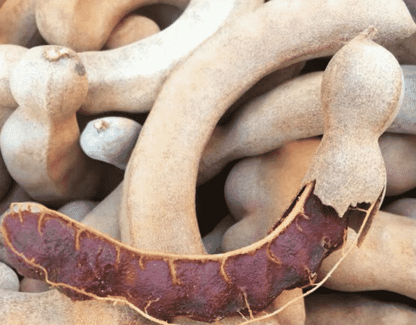 100% Pure Organic Tamarind extract : The Ultimate FAQ Guide (update 2021) 30 Snipaste 2021 09 23 15 01 42