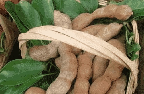 100% Pure Organic Tamarind extract : The Ultimate FAQ Guide (update 2021) 37 Snipaste 2021 09 23 23 06 20