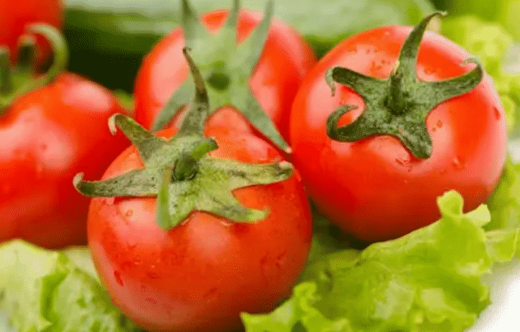 100% Pure Organic Lycopene Powder For Antioxidant : The Ultimate FAQ Guide 10 Snipaste 2021 10 03 22 53 07