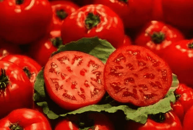 100% Pure Organic Lycopene Powder For Antioxidant : The Ultimate FAQ Guide 7 Snipaste 2021 10 03 22 53 22