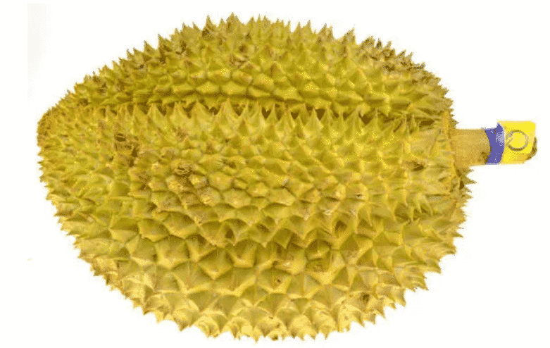 100% Pure Organic durian powder : The Ultimate FAQ Guide (Updated 2021) 17 snipaste 2021 10 10 00 46 03
