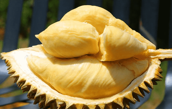 100% Pure Organic durian powder : The Ultimate FAQ Guide (Updated 2021) 15 snipaste 2021 10 10 00 46 17