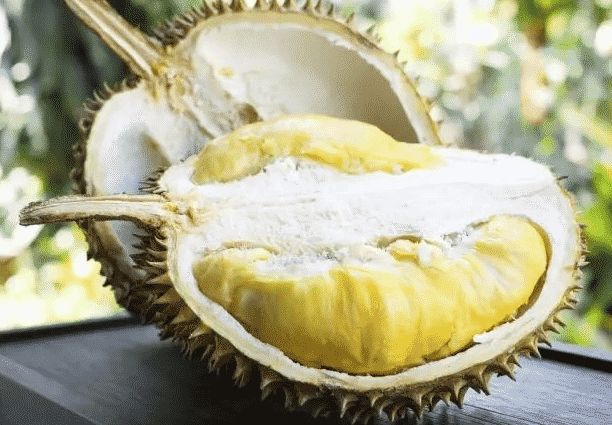 100% Pure Organic durian powder : The Ultimate FAQ Guide (Updated 2021) 14 snipaste 2021 10 10 00 46 27