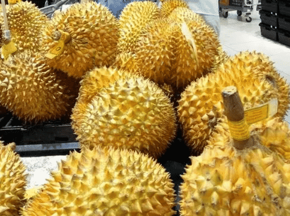 100% Pure Organic durian powder : The Ultimate FAQ Guide (Updated 2021) 13 snipaste 2021 10 10 00 46 33