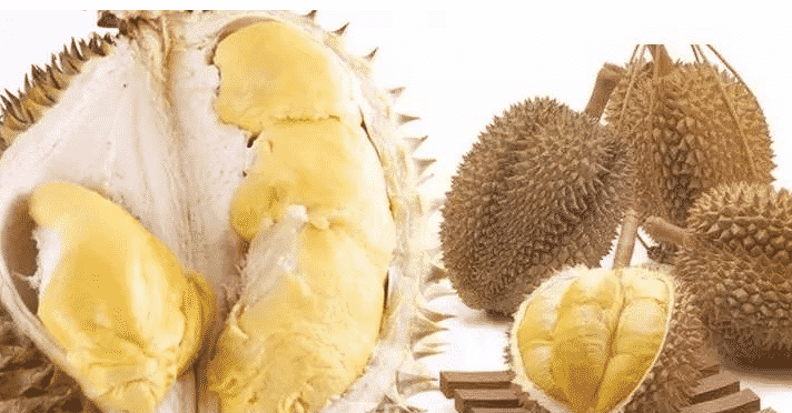 100% Pure Organic durian powder : The Ultimate FAQ Guide (Updated 2021) 8 snipaste 2021 10 10 00 47 05