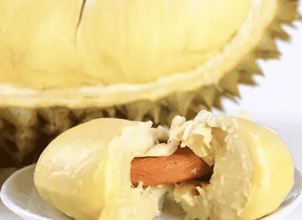 100% Pure Organic durian powder : The Ultimate FAQ Guide (Updated 2021) 1 durian powder